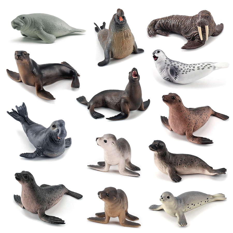 Realistic Dugong Manatee Walru - Kids Toys China review and price