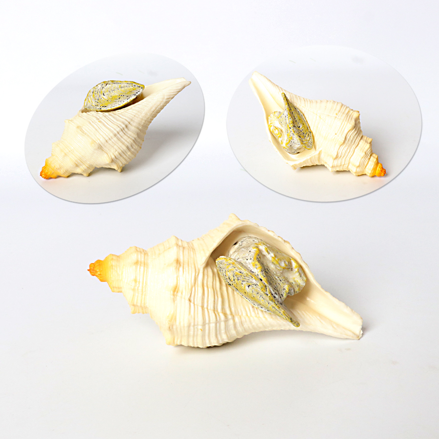 Plastic Prehistoric Sea Creatu - Kids Toys China review and price