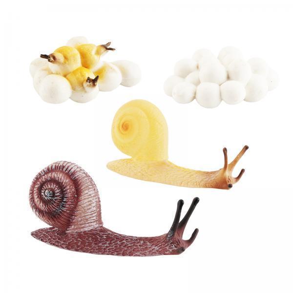Early Education Life Cycle Tra - Kids Toys Cycle review and price