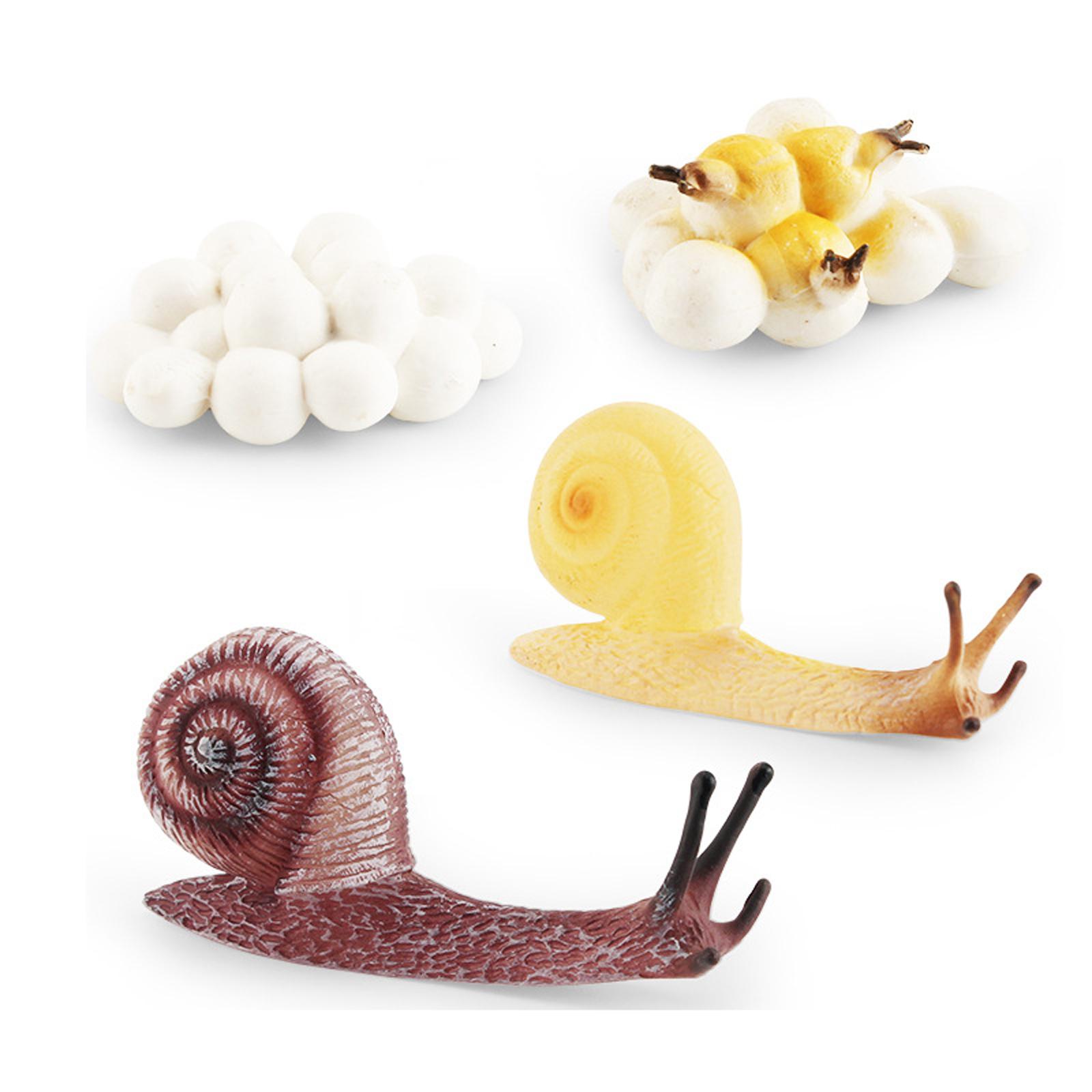 Early Education Life Cycle Tra - Kids Toys Cycle review and price