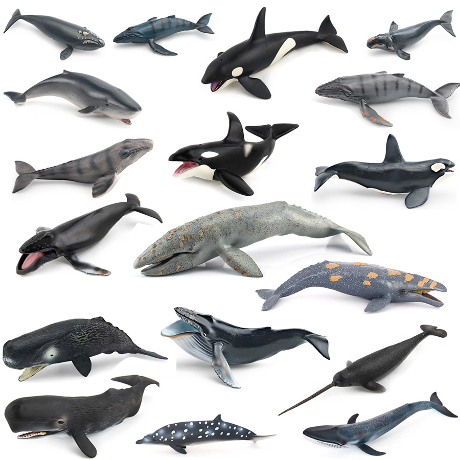 Realistic Humpback Whale Sperm - Kids Toys China review and price