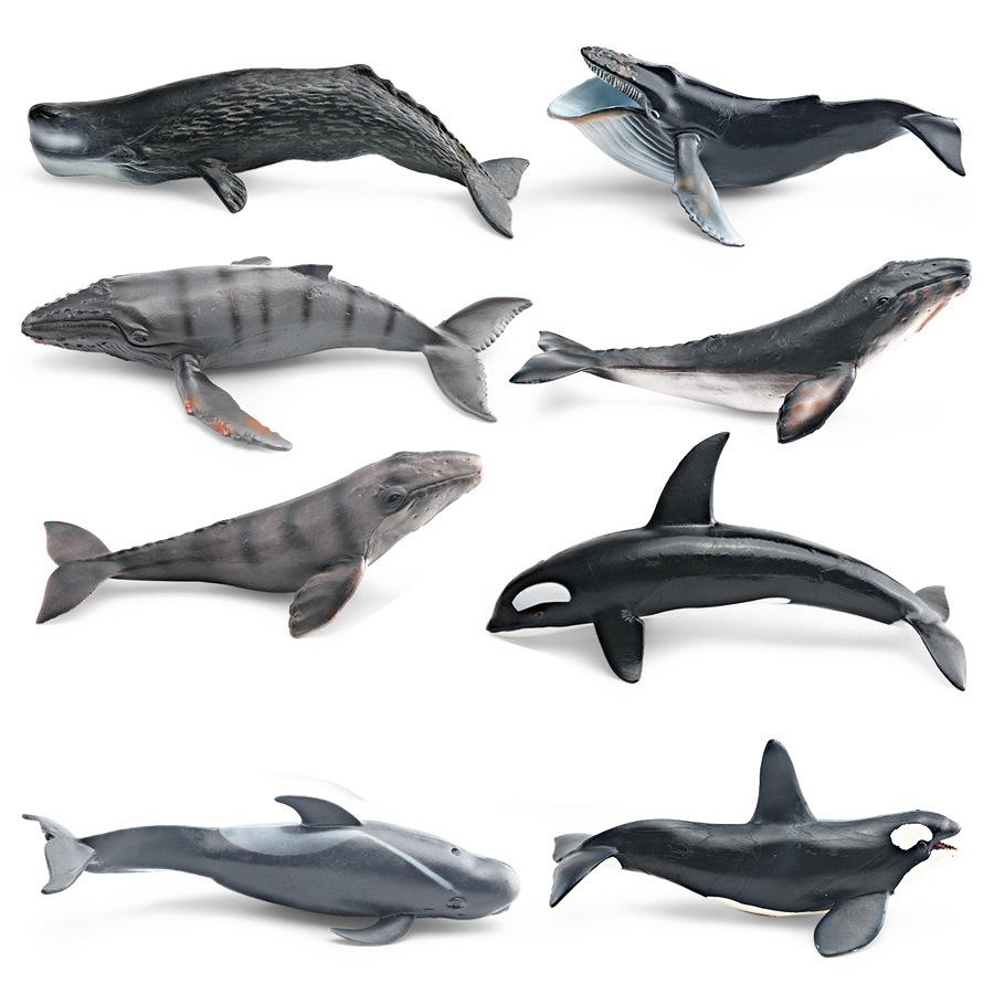 Realistic Humpback Whale Sperm - Kids Toys China review and price