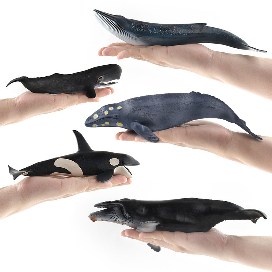 Realistic Humpback Whale Sperm - Kids Toys China review and price