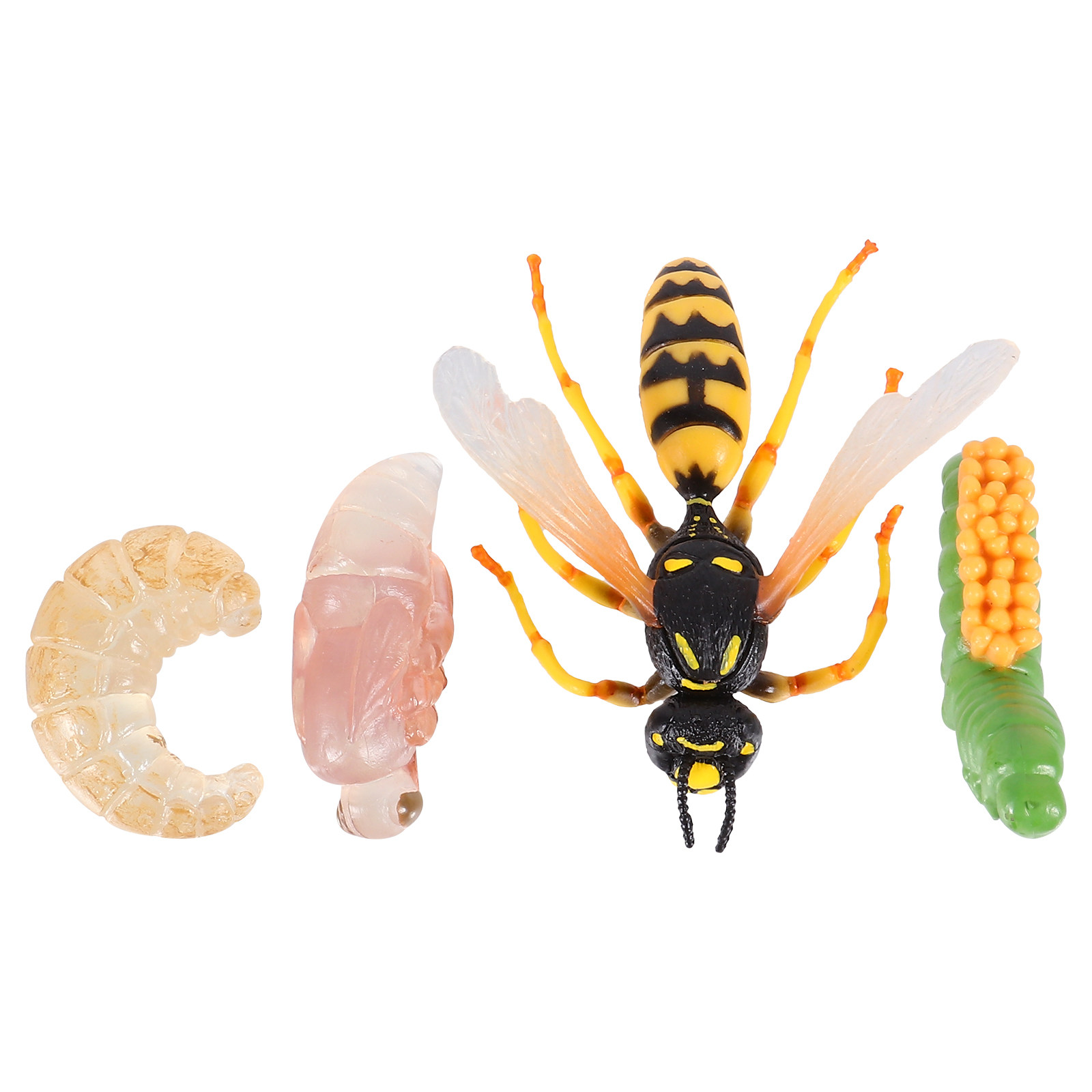 Kids Toys Insect Figure for Re - Kids Toys Cycle review and price